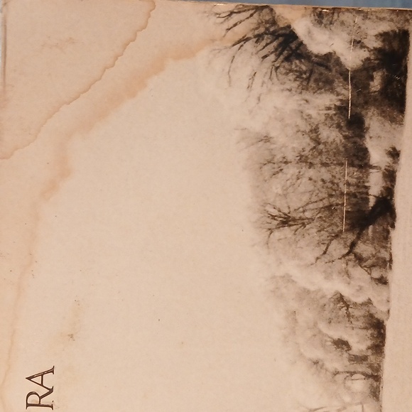 Joni Mitchell Vinyl Album HEJIRA - Picture 6 of 10